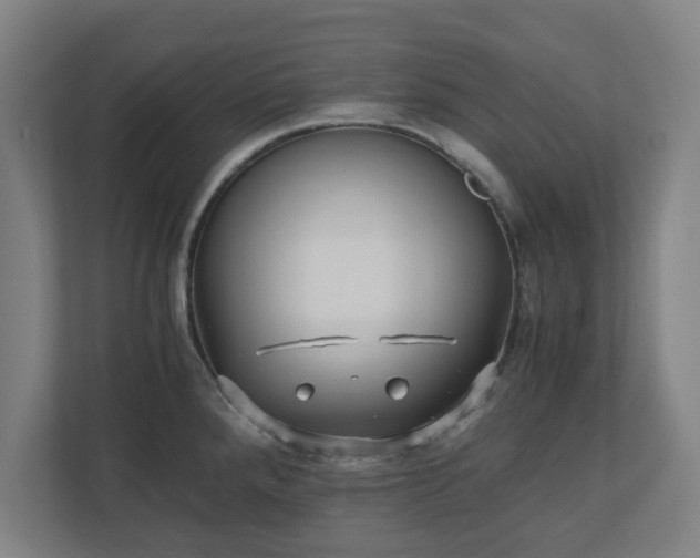 X0000110871288200906251221