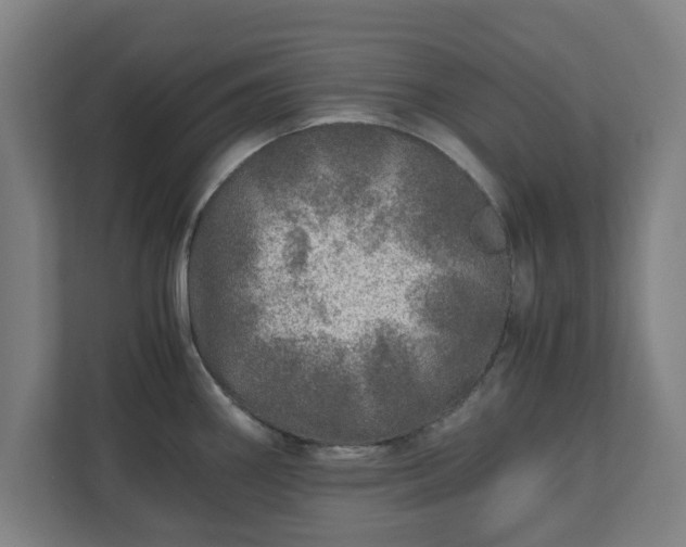 X0000110871290200906251221