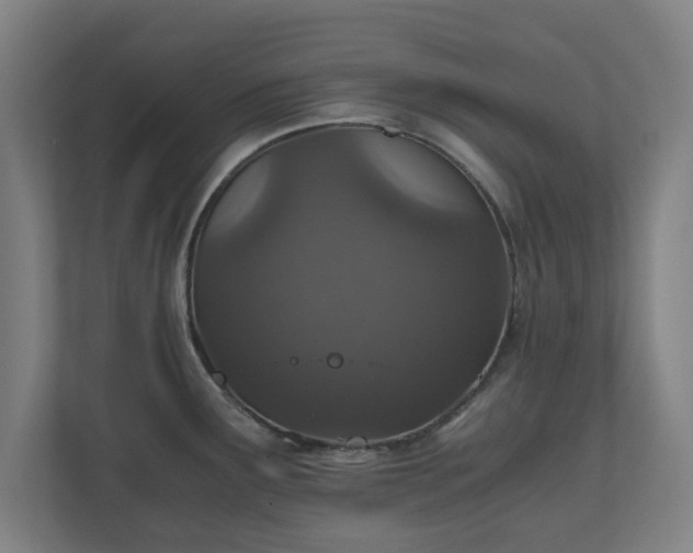 X0000110871291200906251221