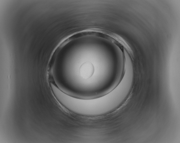 X0000110871292200906251221