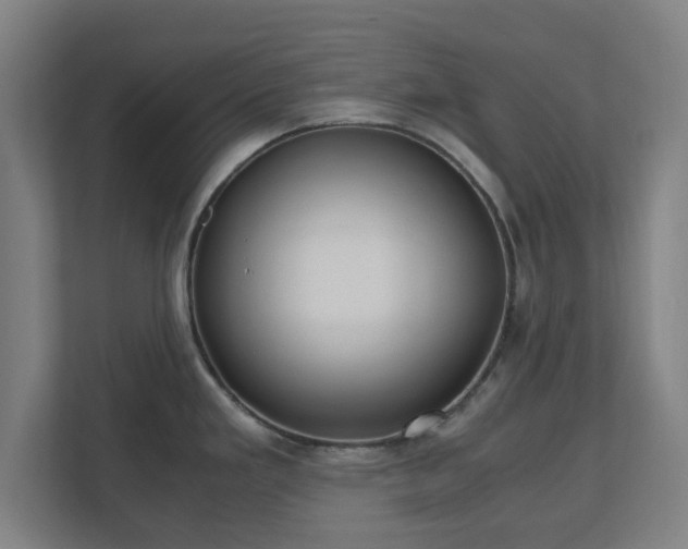 X0000110871293200906251221