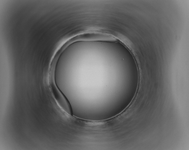 X0000110871296200906251221