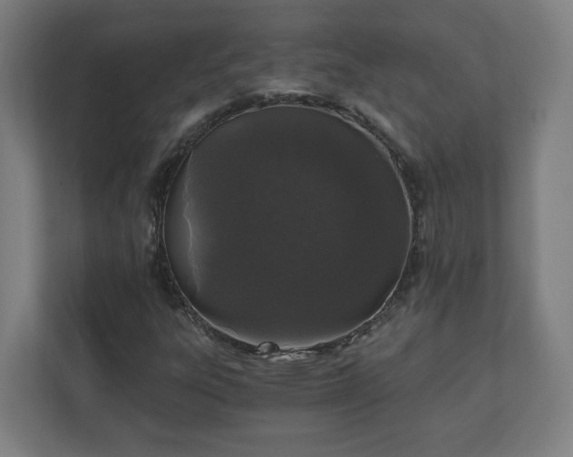 X0000110871303200906251220