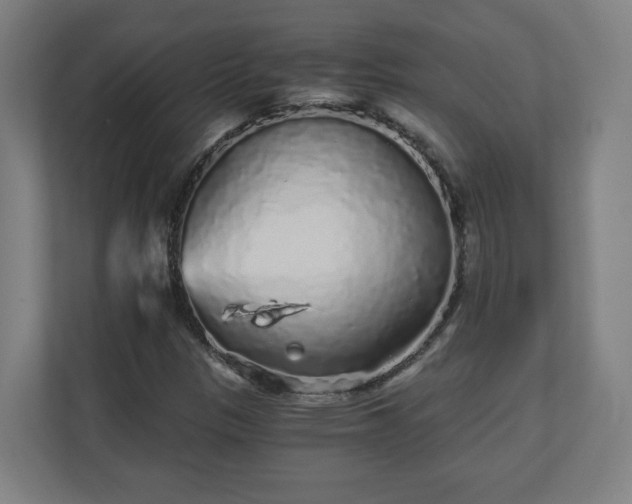 X0000110871305200906251220