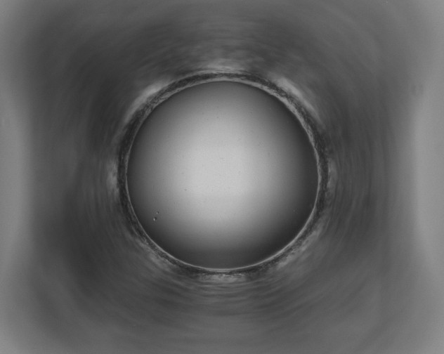 X0000110871307200906251220