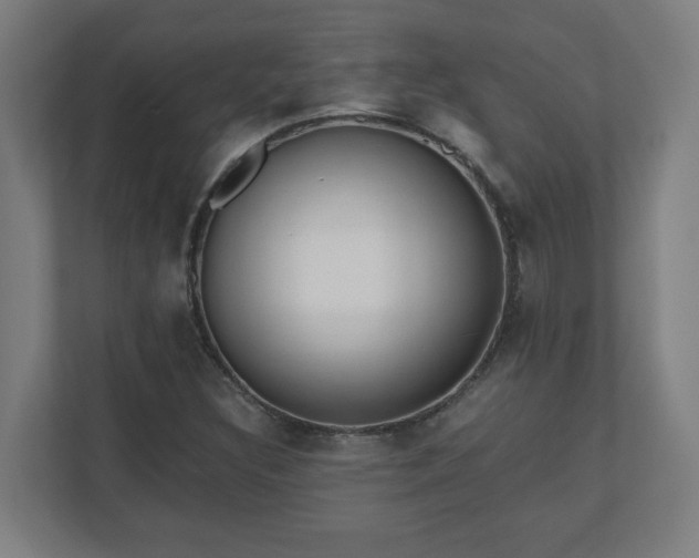 X0000110871308200906251220