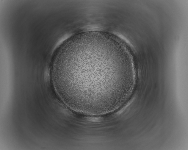 X0000110871309200906251220