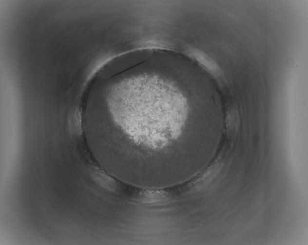 X0000110871310200906251220