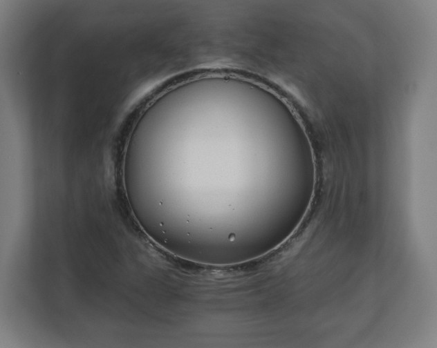 X0000110871311200906251220