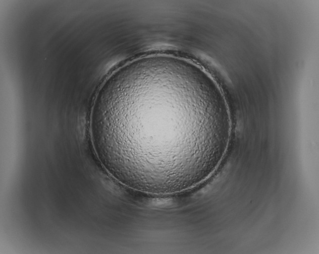 X0000110871313200906251220