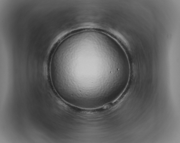 X0000110871318200906251220