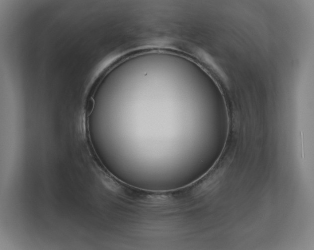 X0000110871320200906251220