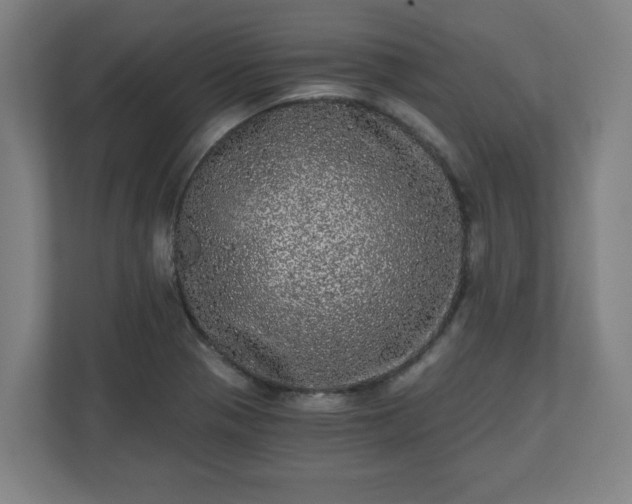 X0000110871321200906251220