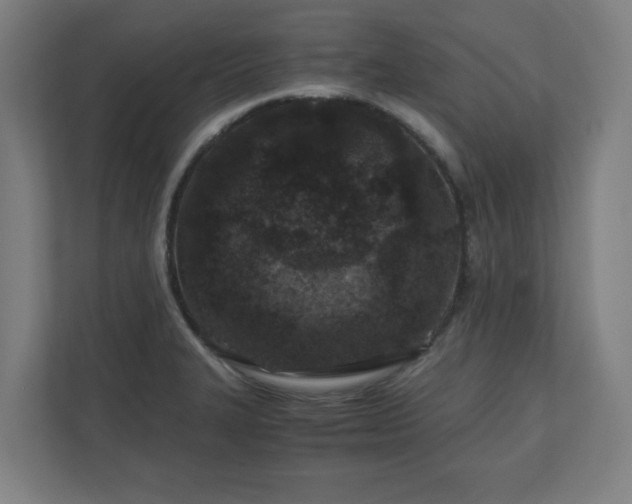 X0000110871327200906251221