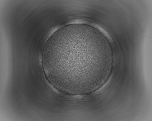 X0000110871329200906251221