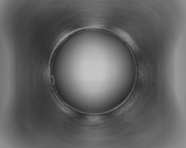 X0000110871332200906251221