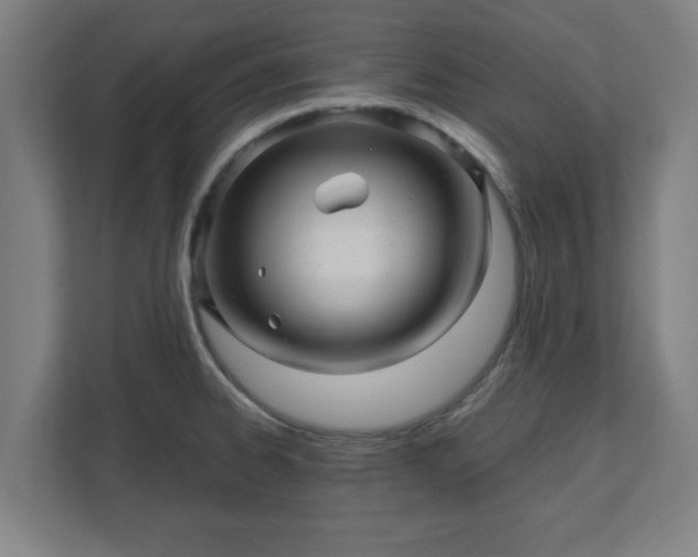 X0000110871334200906251221