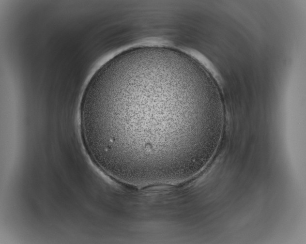 X0000110871335200906251221