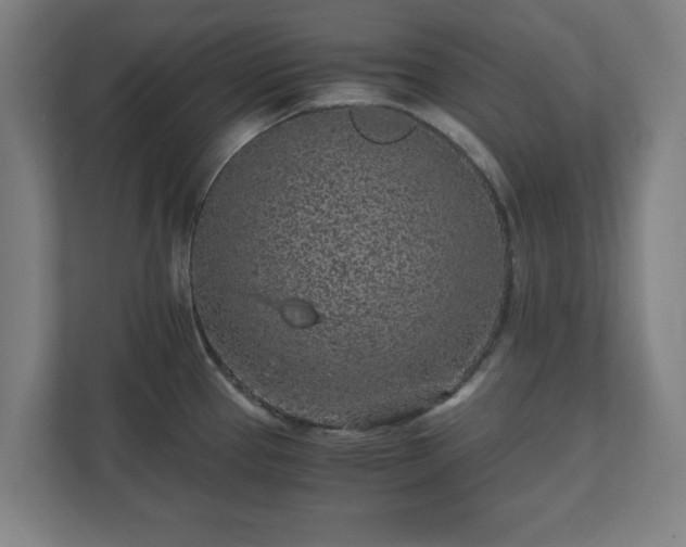 X0000110871337200906251221