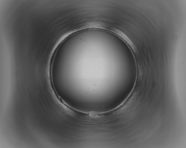 X0000110871339200906251221