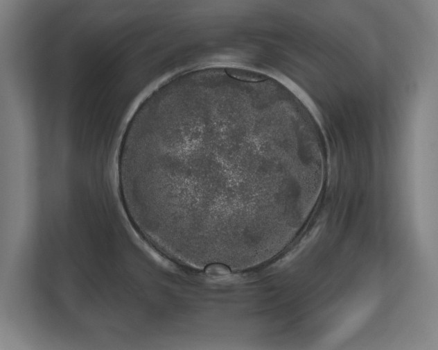 X0000110871341200906251221