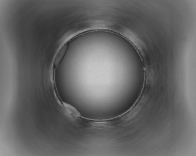 X0000110871342200906251221