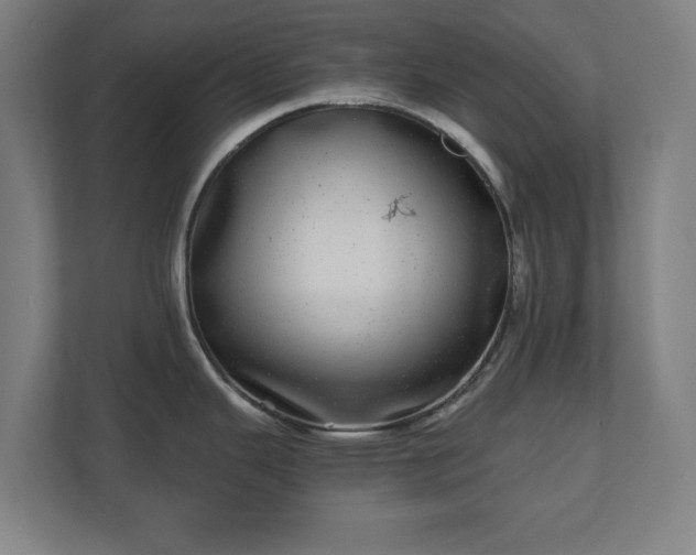 X0000110871343200906251221