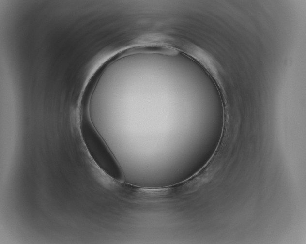 X0000110871344200906251221