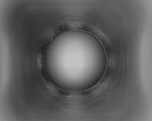 X0000110871346200906251220