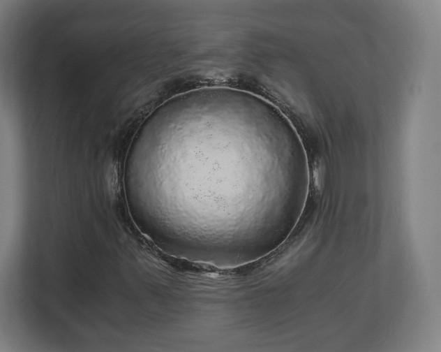 X0000110871347200906251220