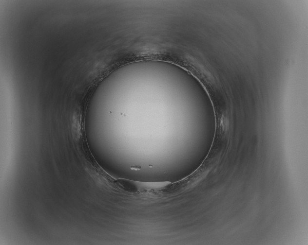 X0000110871348200906251220