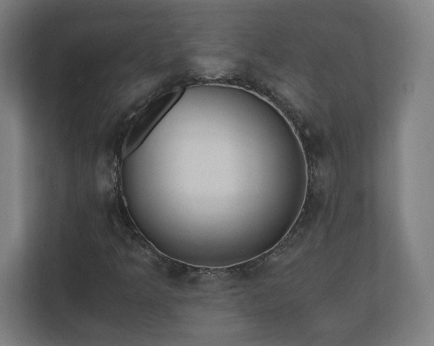 X0000110871349200906251220