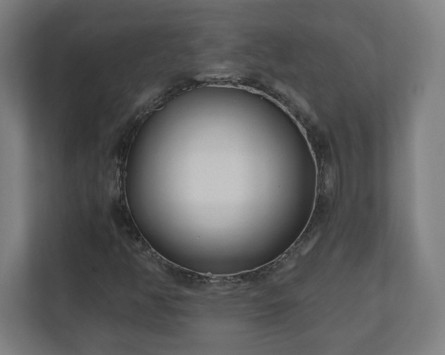 X0000110871350200906251220