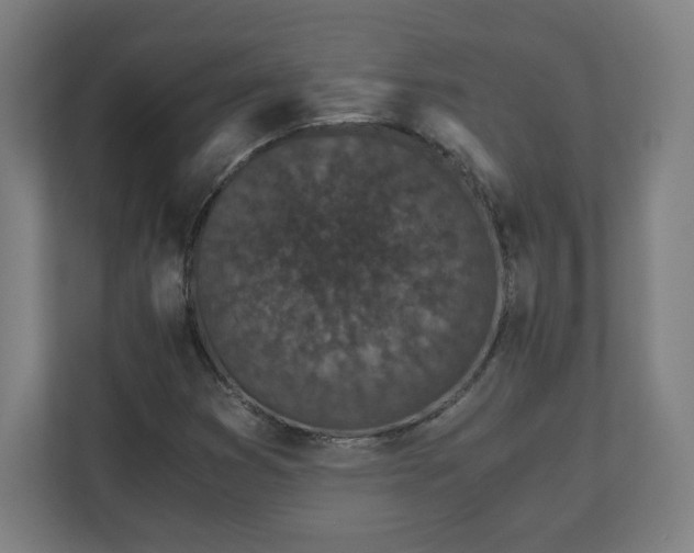 X0000110871353200906251220