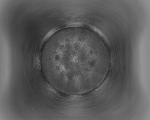 X0000110871354200906251220