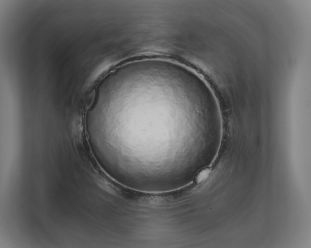 X0000110871355200906251220