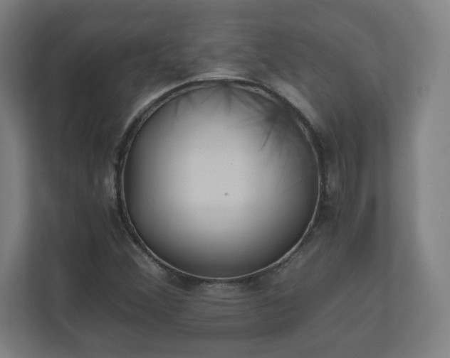 X0000110871356200906251220