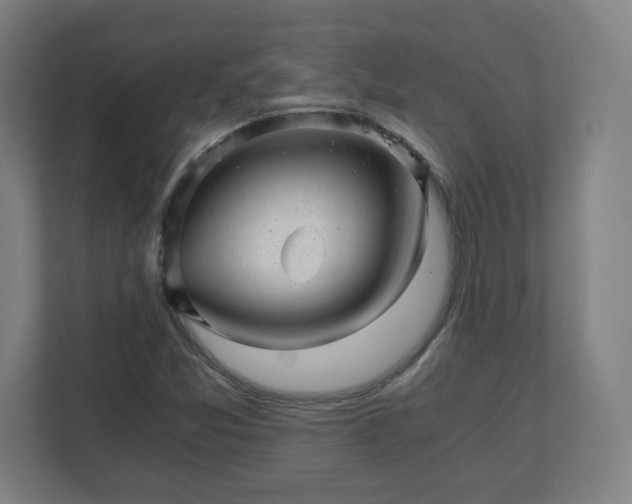 X0000110871357200906251220