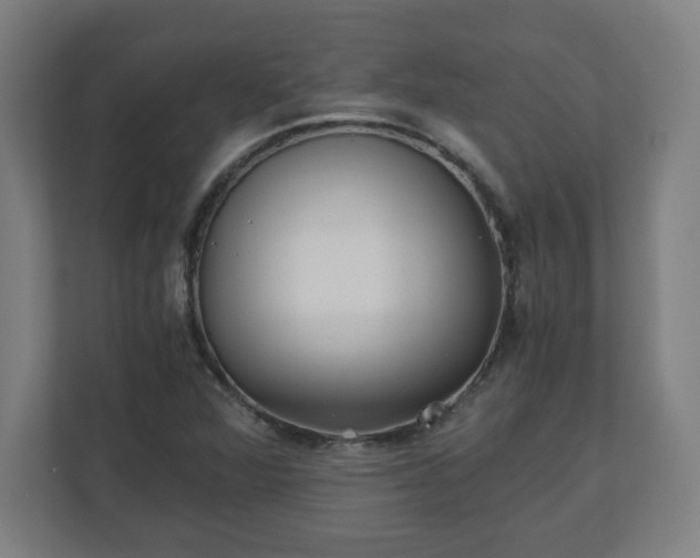 X0000110871360200906251220