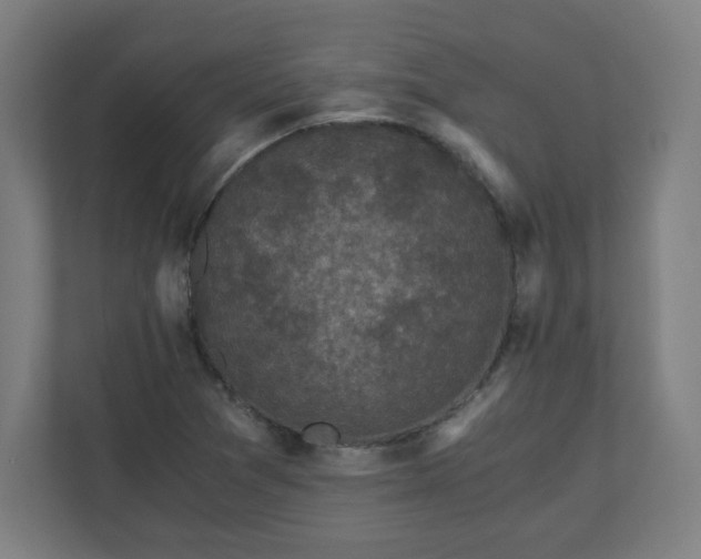 X0000110871361200906251220