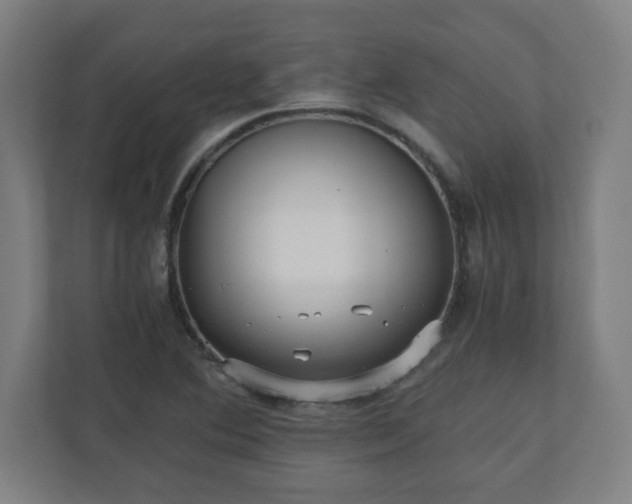 X0000110871364200906251220