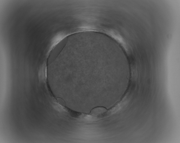 X0000110871365200906251220