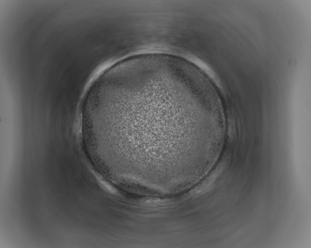 X0000110871366200906251220