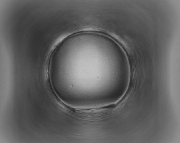 X0000110871367200906251220