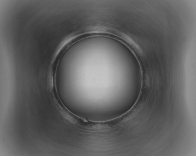 X0000110871368200906251220