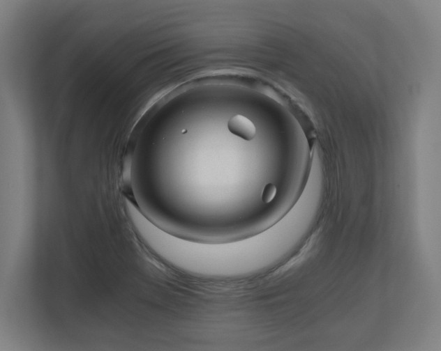 X0000110871369200906251220