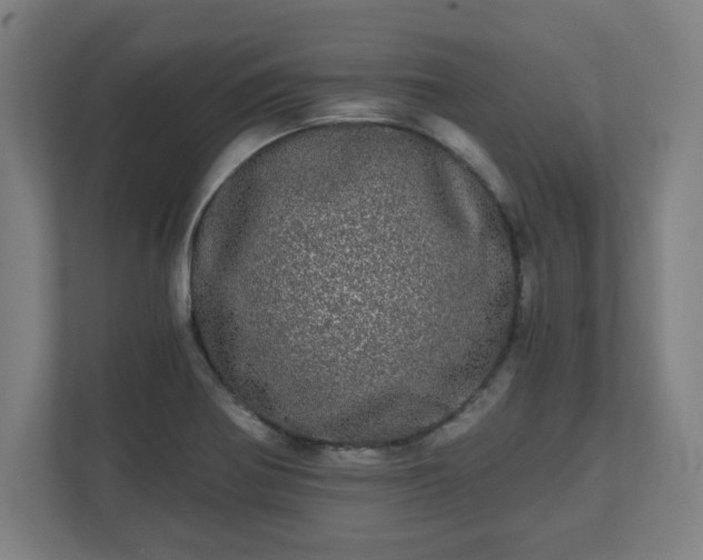 X0000110871370200906251220