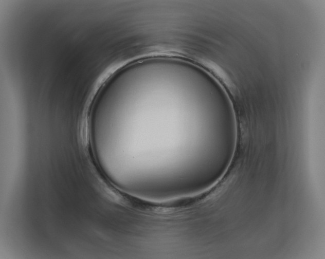 X0000110871371200906251220