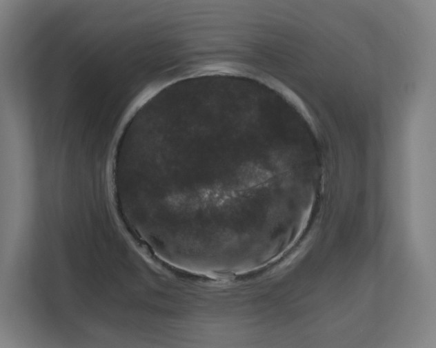 X0000110871373200906251220