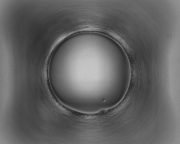 X0000110871375200906251220